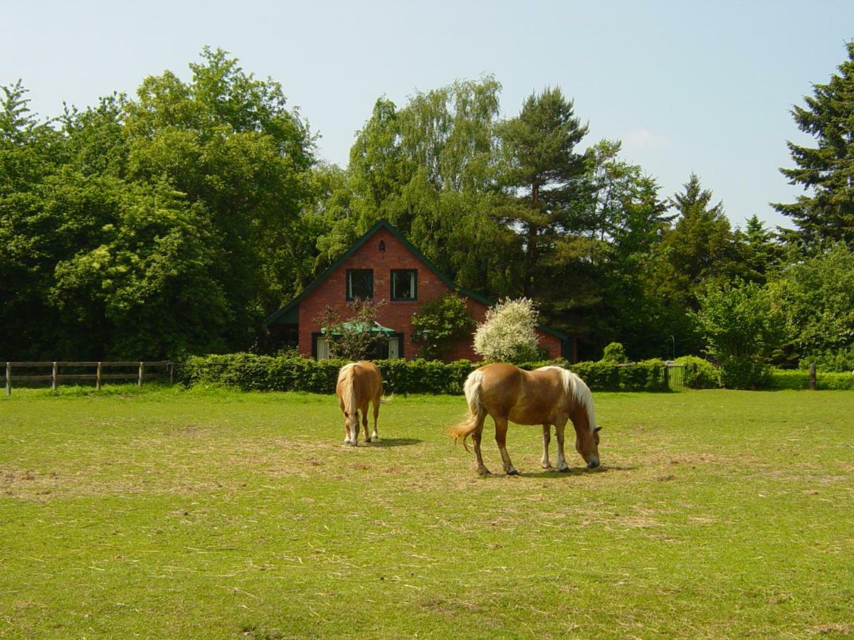 Vila Bernard Meyborg Lindern Exteriér fotografie